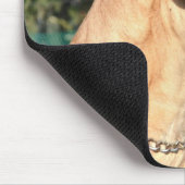 Geweldige Daanfoto-Muismat Muismat (Hoek)