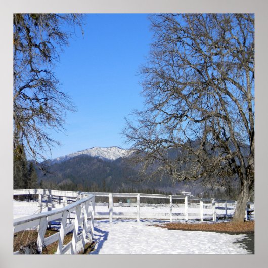 Geweldige dag in de winter..... poster (Voorkant)