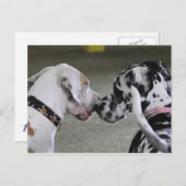 Geweldige Dane Beste vrienden Briefkaart (Voorkant / Achterkant)