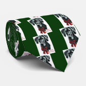 Geweldige Dane Black-kerstcadeautjes Stropdas (Opgerold)