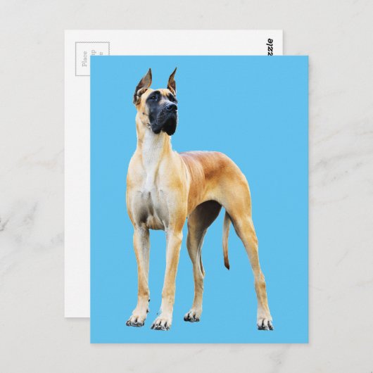 Geweldige Dane Briefkaart (Voorkant / Achterkant)