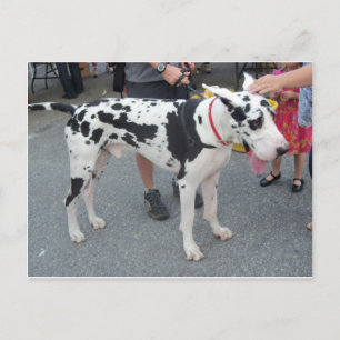 Geweldige Dane Briefkaart