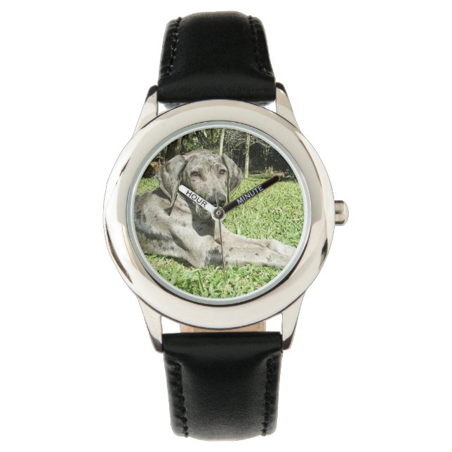 Geweldige Dane Dog Horloge (Voorkant)