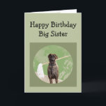 Geweldige Dane Dog Humor for Birthday Big Sister F Kaart<br><div class="desc">Great Dane Dog Humor for Birthday Zuster Fun</div>