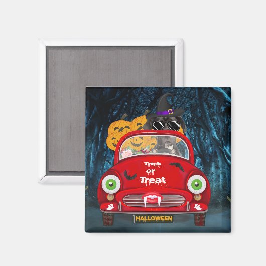 Geweldige Dane Dog-rijdende auto's met een ongeken Magneet (Voorkant / Achterkant)