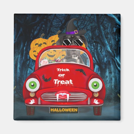 Geweldige Dane Dog-rijdende auto's met een ongeken Magneet (Voorkant)