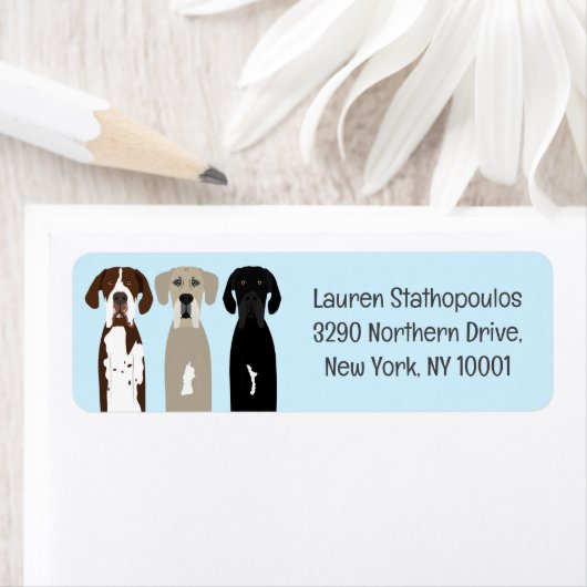 Geweldige Dane Dogs Etiket (Insitu)