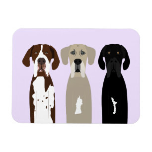 Geweldige Dane Dogs Magneet
