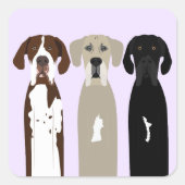Geweldige Dane Dogs Vierkante Sticker (Voorkant)