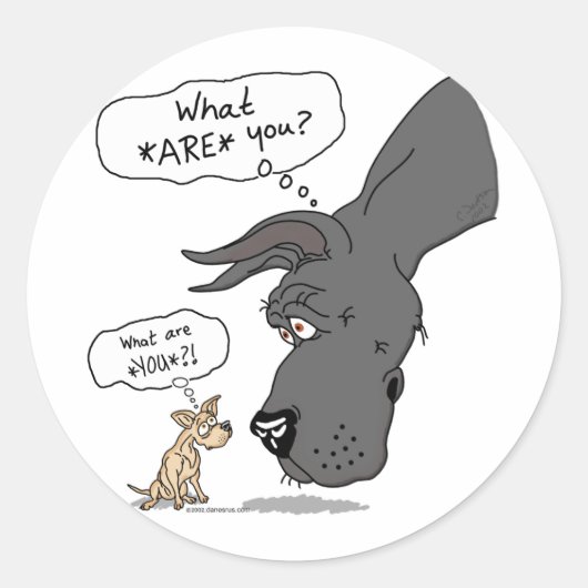 Geweldige Dane en Chihuahua Black Ronde Sticker (Voorkant)