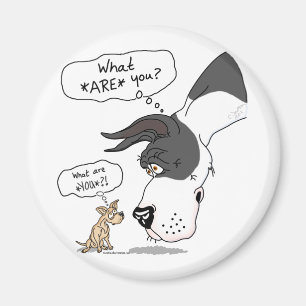 Geweldige Dane en Chihuahua Mantle Magneet