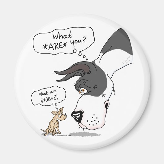 Geweldige Dane en Chihuahua Mantle Magneet (Voorkant)