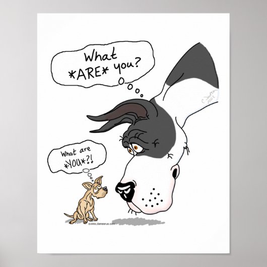 Geweldige Dane en Chihuahua Mantle Poster (Voorkant)