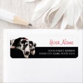 Geweldige Dane Etiket (Insitu)