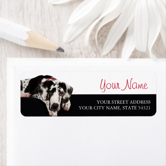 Geweldige Dane Etiket (Insitu)