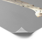 Geweldige Dane Harlequin-afdrukken Poster (Hoek)