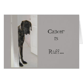 Geweldige Dane Pet Dog Divorce Cancer Ik ben hier 