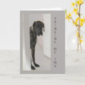Geweldige Dane Pet Dog Humor Thinking of You Kaart (Gele Bloem)