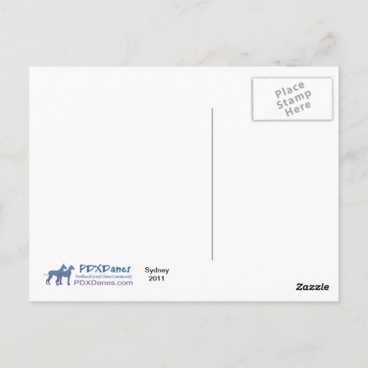 Geweldige Dane Sydney bij het strand Briefkaart (Achterkant)