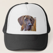 Geweldige Dane Trucker Pet (Voorkant)
