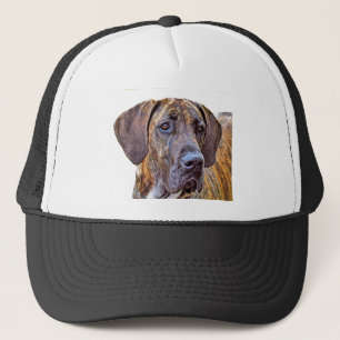 Geweldige Dane Trucker Pet