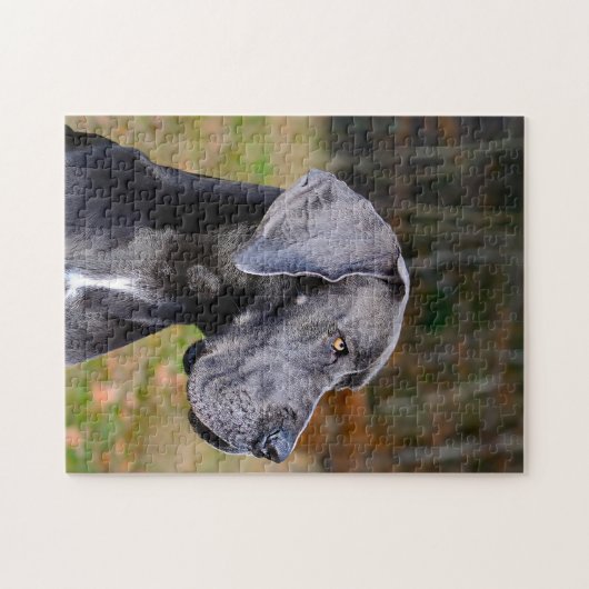 Geweldige Deen. Legpuzzel (Horizontaal)