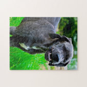 Geweldige Deen. Legpuzzel (Horizontaal)