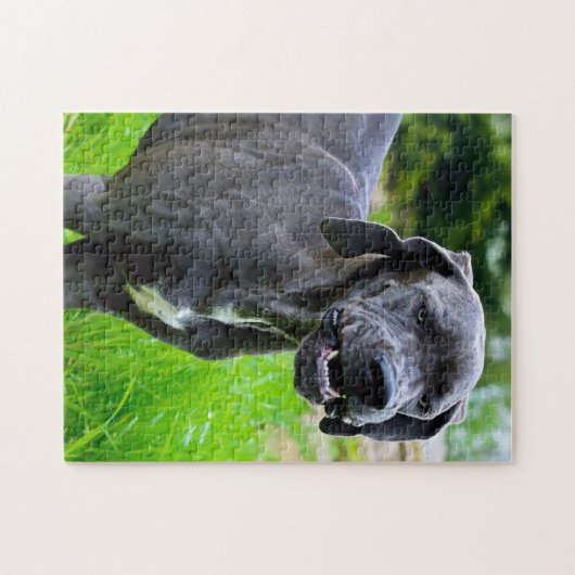 Geweldige Deen. Legpuzzel (Horizontaal)