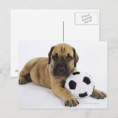 Geweldige dgestalte met speelgoed voetbal briefkaart (Voorkant / Achterkant)