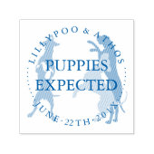 Geweldige dgestalte  zelfinktende stempel (Design)