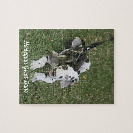 Geweldige dgestapte puzzle legpuzzel (Horizontaal)