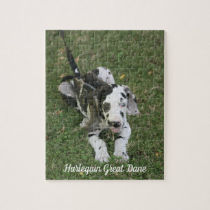 Geweldige dgestapte puzzle legpuzzel