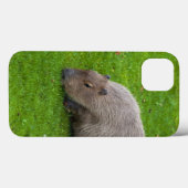Geweldige dier capibara Case-Mate iPhone case (Achterkant (horizontaal))