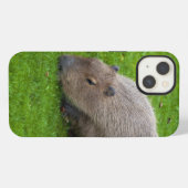 Geweldige dier capibara iPhone hoesje (Achterkant horizontaal)