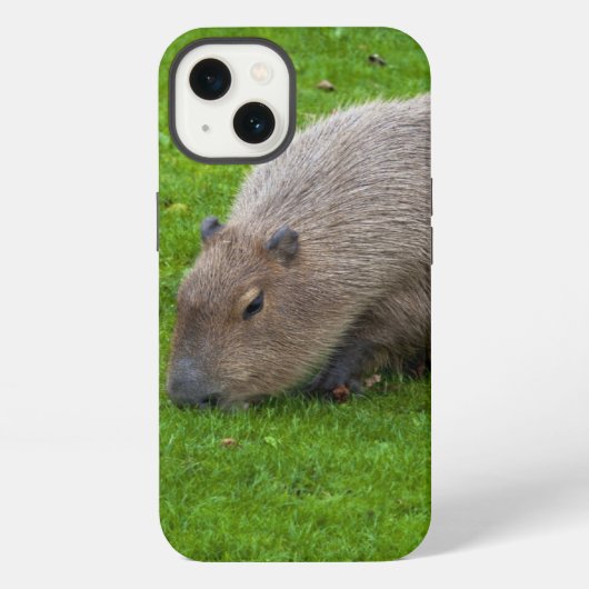 Geweldige dier capibara iPhone hoesje (Achterkant)