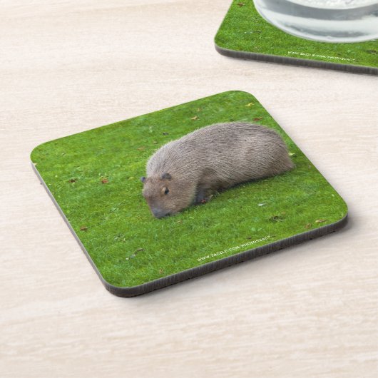 Geweldige dier capibara onderzetter (Linkerzijde)