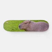 Geweldige dier capibara persoonlijk skateboard (Horizontaal)
