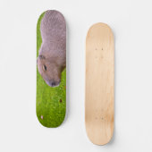 Geweldige dier capibara persoonlijk skateboard (Voorkant)