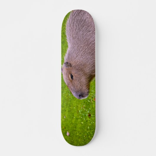 Geweldige dier capibara persoonlijk skateboard (Voorkant)