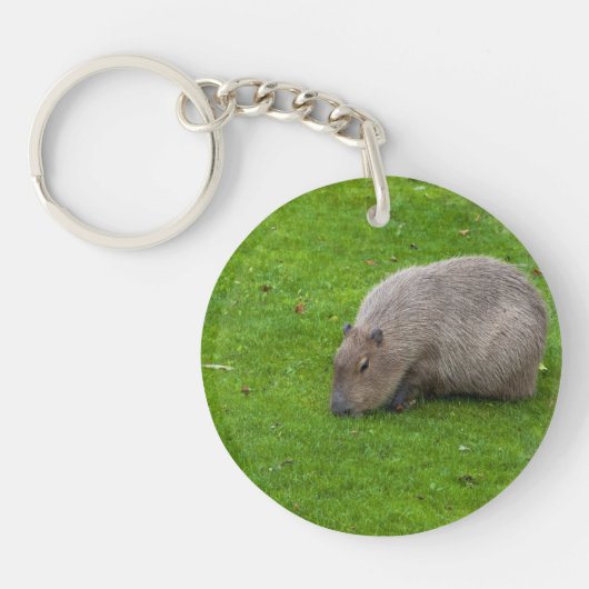 Geweldige dier capibara sleutelhanger (Voorkant)
