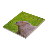 Geweldige dier capibara tegeltje (Zijkant)