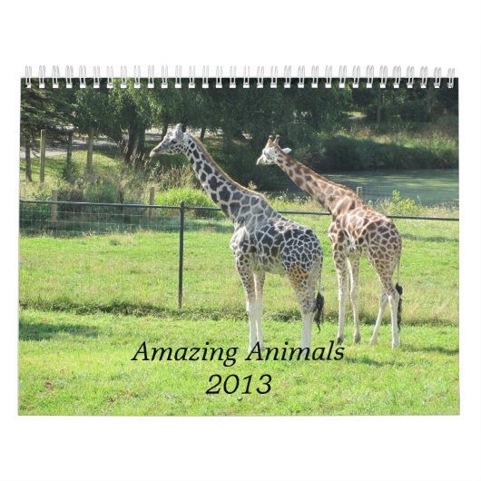 Geweldige Dieren 2013 Kalender (Hoes)