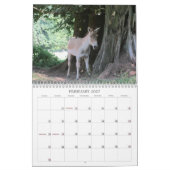 Geweldige Dieren 2013 Kalender (Feb 2027)