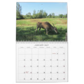 Geweldige Dieren 2013 Kalender (Jan 2027)