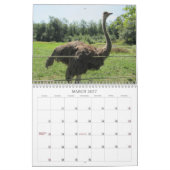 Geweldige Dieren 2013 Kalender (Mar 2027)