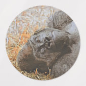 Geweldige dierenmix labels (Design 1)