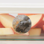 Geweldige dierenmix labels (Aangebracht)