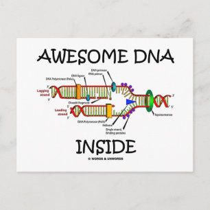 Geweldige DNA Inside Briefkaart