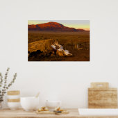 Geweldige dode Koe op het Sunset Poster (Keuken)