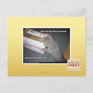 Geweldige doos briefkaart